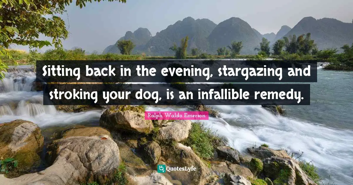 Sitting back in the evening, stargazing and stroking your dog, is an infallible remedy.