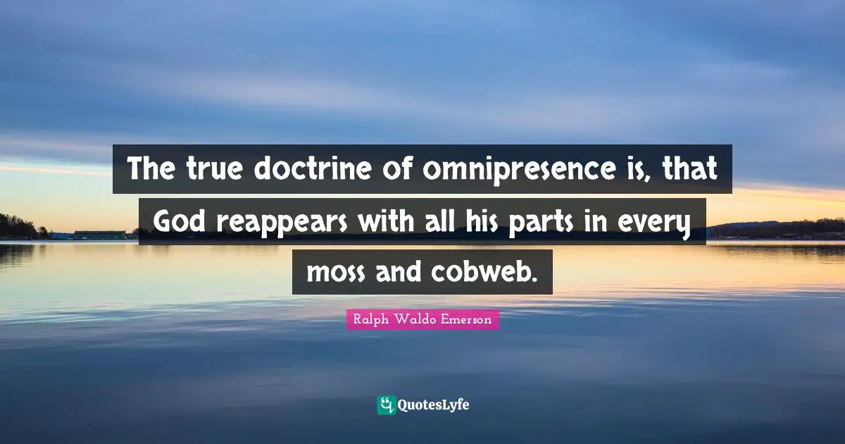 The true doctrine of omnipresence is, that God reappears with all his parts in every moss and cobweb.
