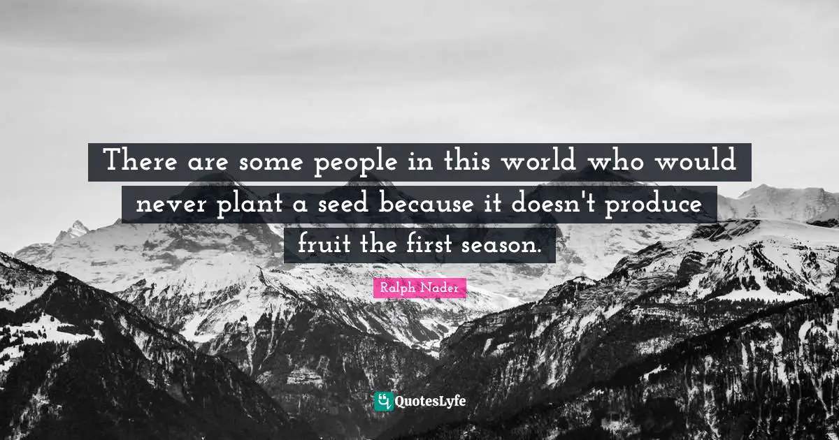 There are some people in this world who would never plant a seed because it doesn't produce fruit the first season.