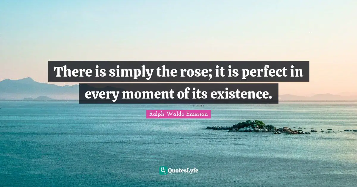 There is simply the rose; it is perfect in every moment of its existence.