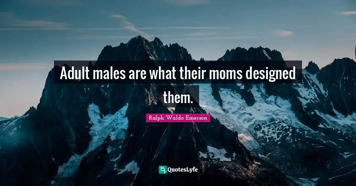 Adult males are what their moms designed them.