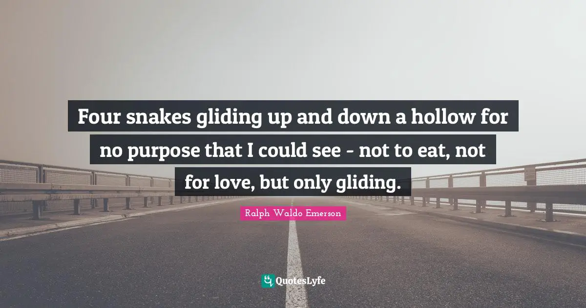 Snakes Quotes: "Four snakes gliding up and down a hollow for no purpose that I could see - not to eat, not for love, but only gliding."