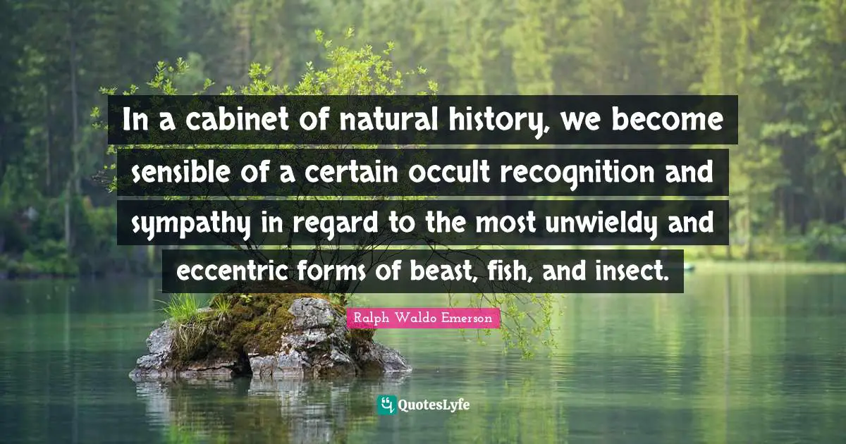 The Occult Quotes: "In a cabinet of natural history, we become sensible of a certain occult recognition and sympathy in regard to the most unwieldy and eccentric forms of beast, fish, and insect."