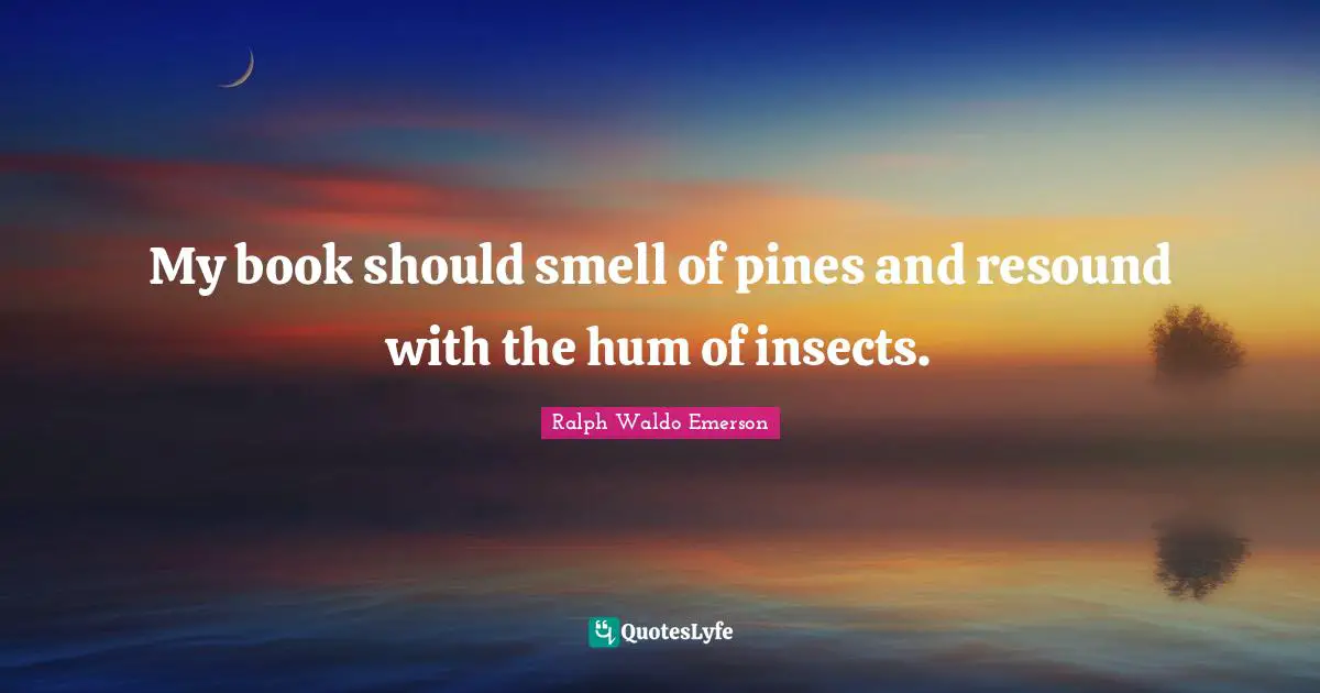 My book should smell of pines and resound with the hum of insects.
