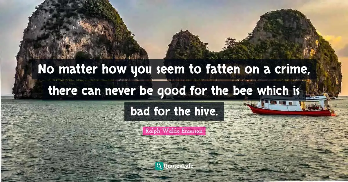 No matter how you seem to fatten on a crime, there can never be good for the bee which is bad for the hive.