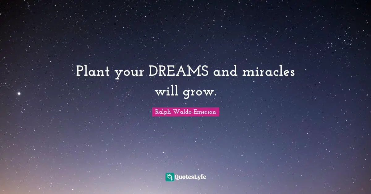 Plant your DREAMS and miracles will grow.