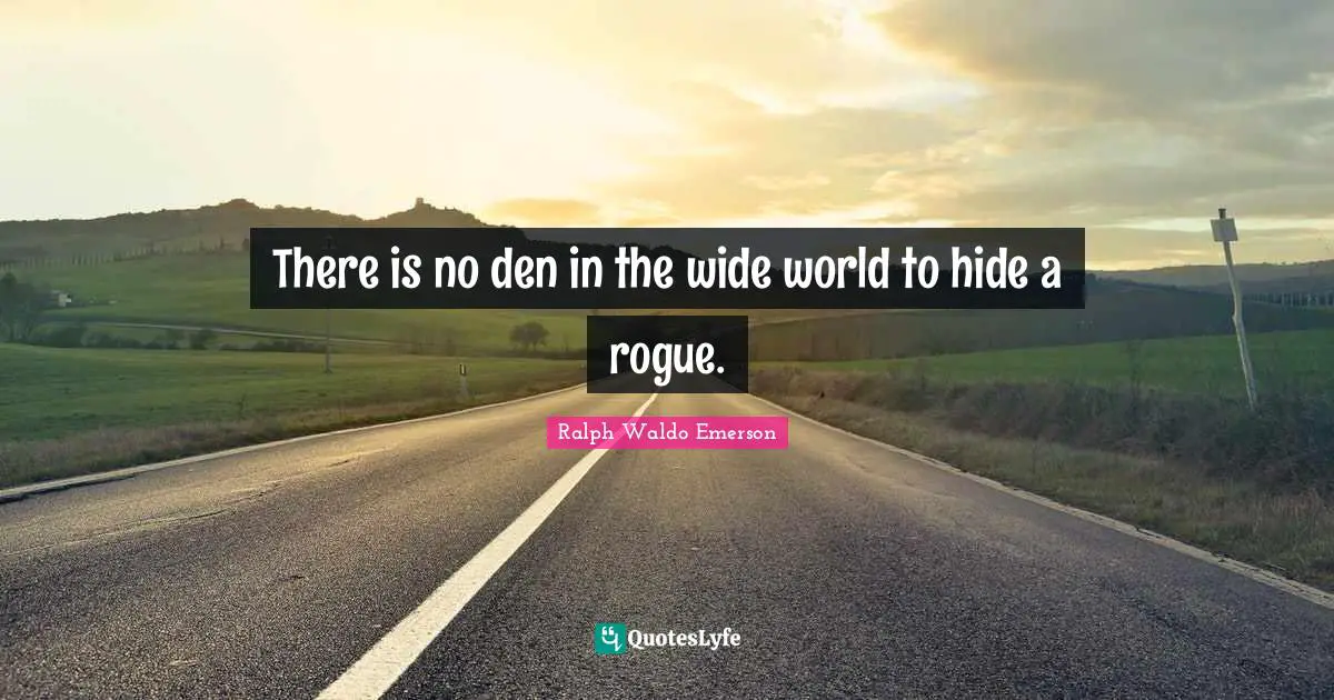 There is no den in the wide world to hide a rogue.