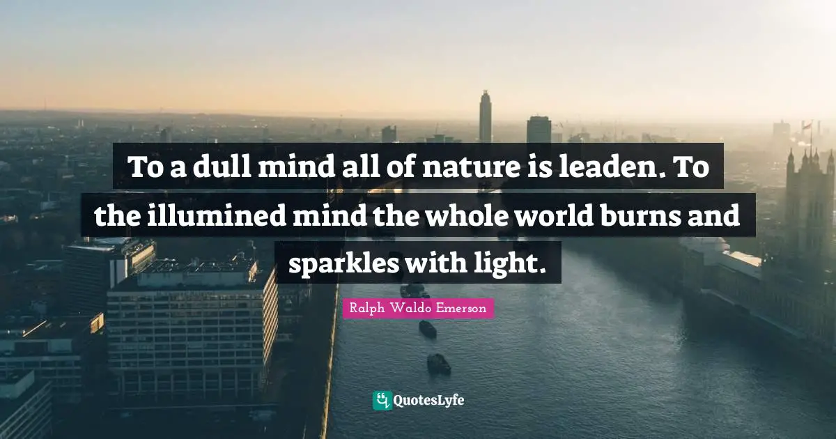 Nature Beauty Quotes: "To a dull mind all of nature is leaden. To the illumined mind the whole world burns and sparkles with light."