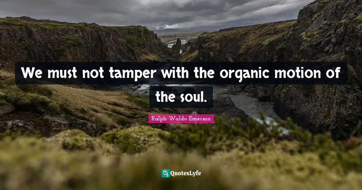 We must not tamper with the organic motion of the soul.