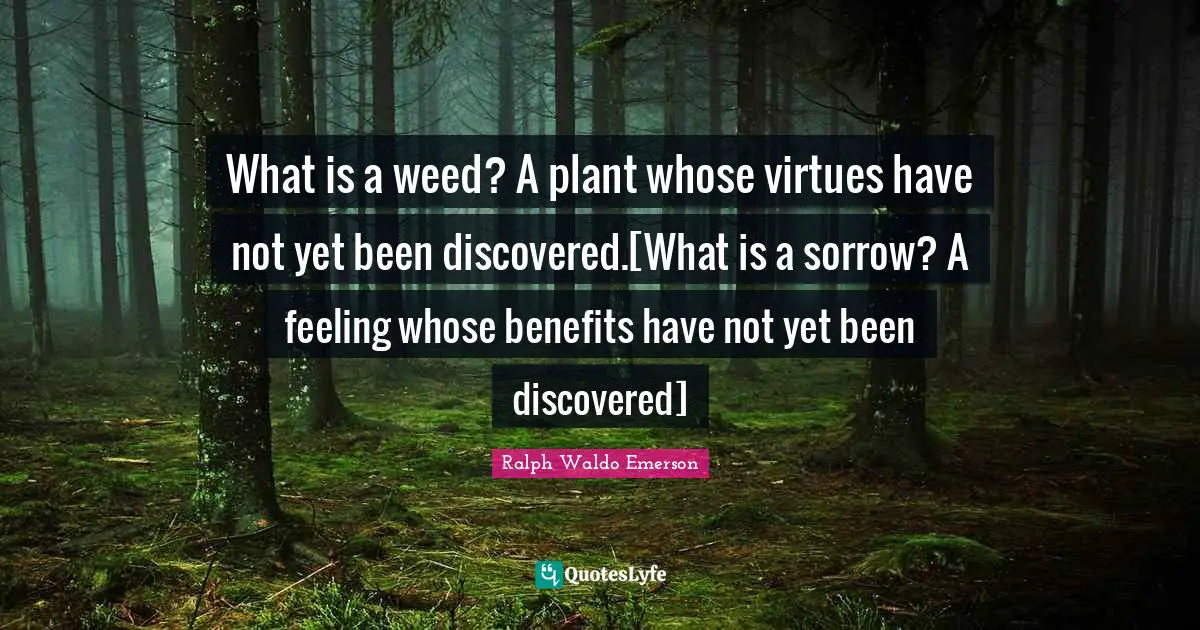 What is a weed? A plant whose virtues have not yet been discovered.[What is a sorrow? A feeling whose benefits have not yet been discovered]