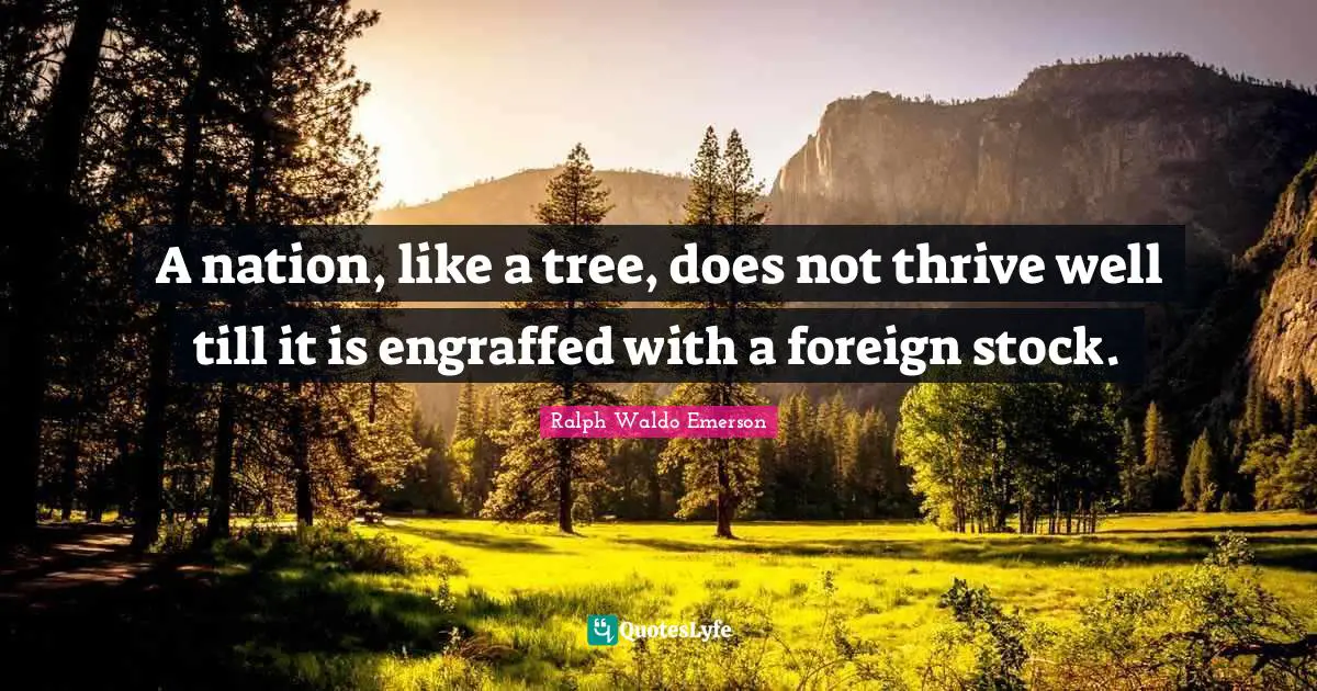 A nation, like a tree, does not thrive well till it is engraffed with a foreign stock.