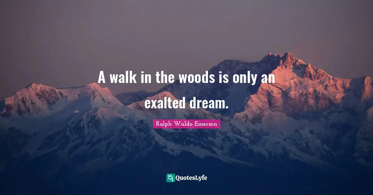A walk in the woods is only an exalted dream.