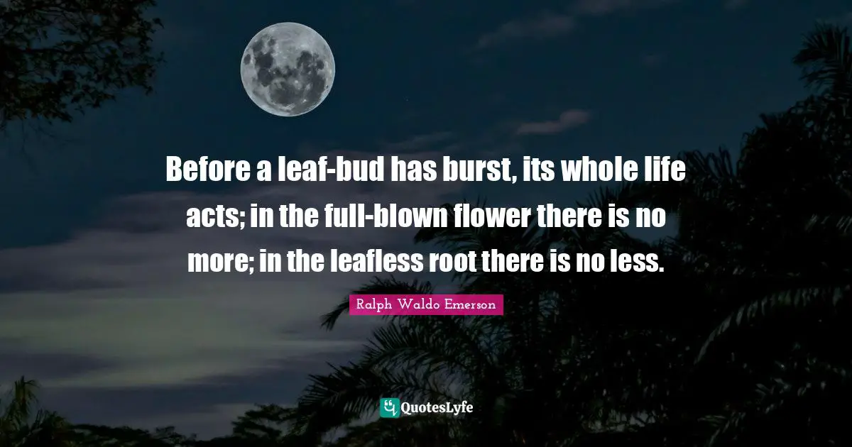 Before a leaf-bud has burst, its whole life acts; in the full-blown flower there is no more; in the leafless root there is no less.
