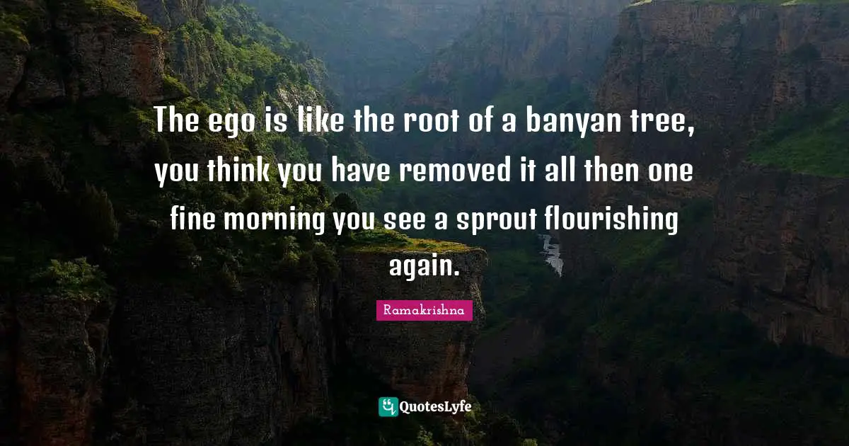 The ego is like the root of a banyan tree, you think you have removed it all then one fine morning you see a sprout flourishing again.