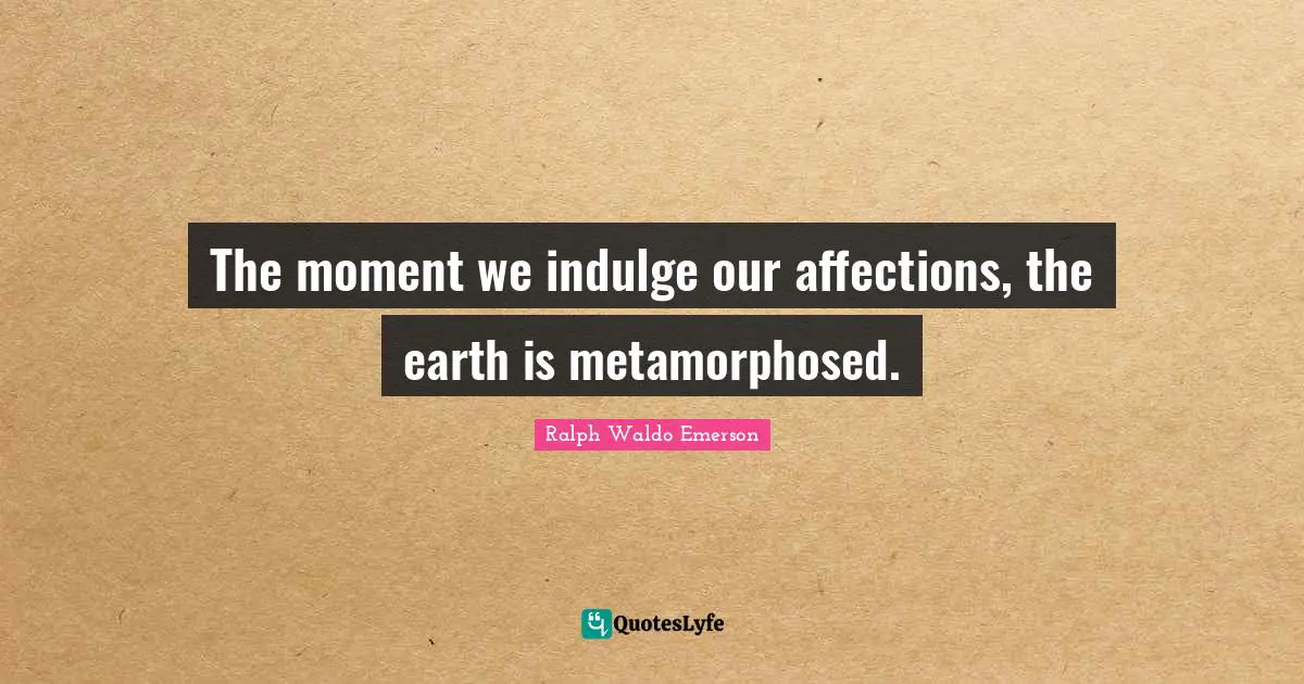 Indulge Quotes: "The moment we indulge our affections, the earth is metamorphosed."