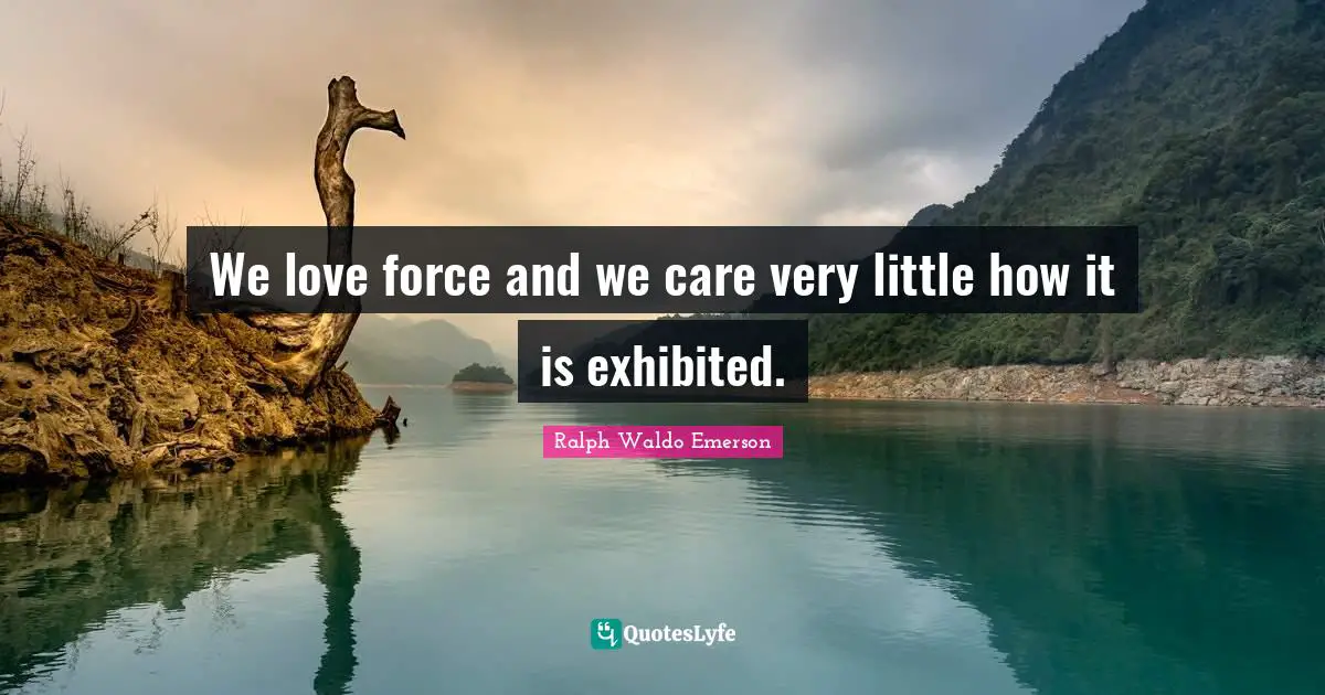 We love force and we care very little how it is exhibited.