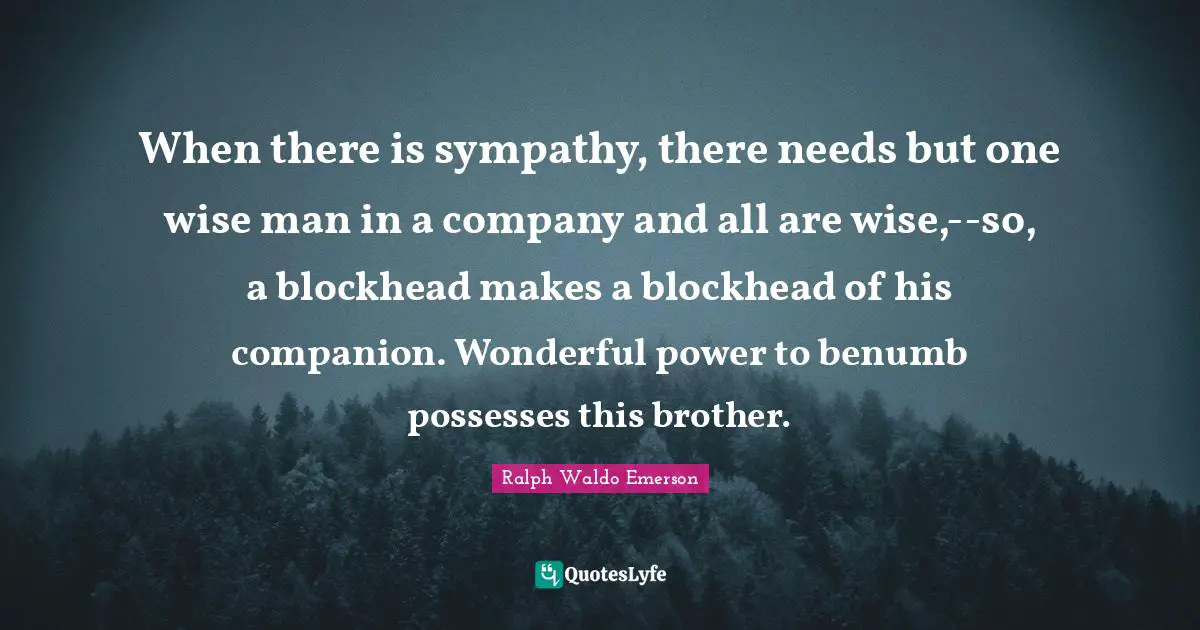 When there is sympathy, there needs but one wise man in a company and all are wise,--so, a blockhead makes a blockhead of his companion. Wonderful power to benumb possesses this brother.