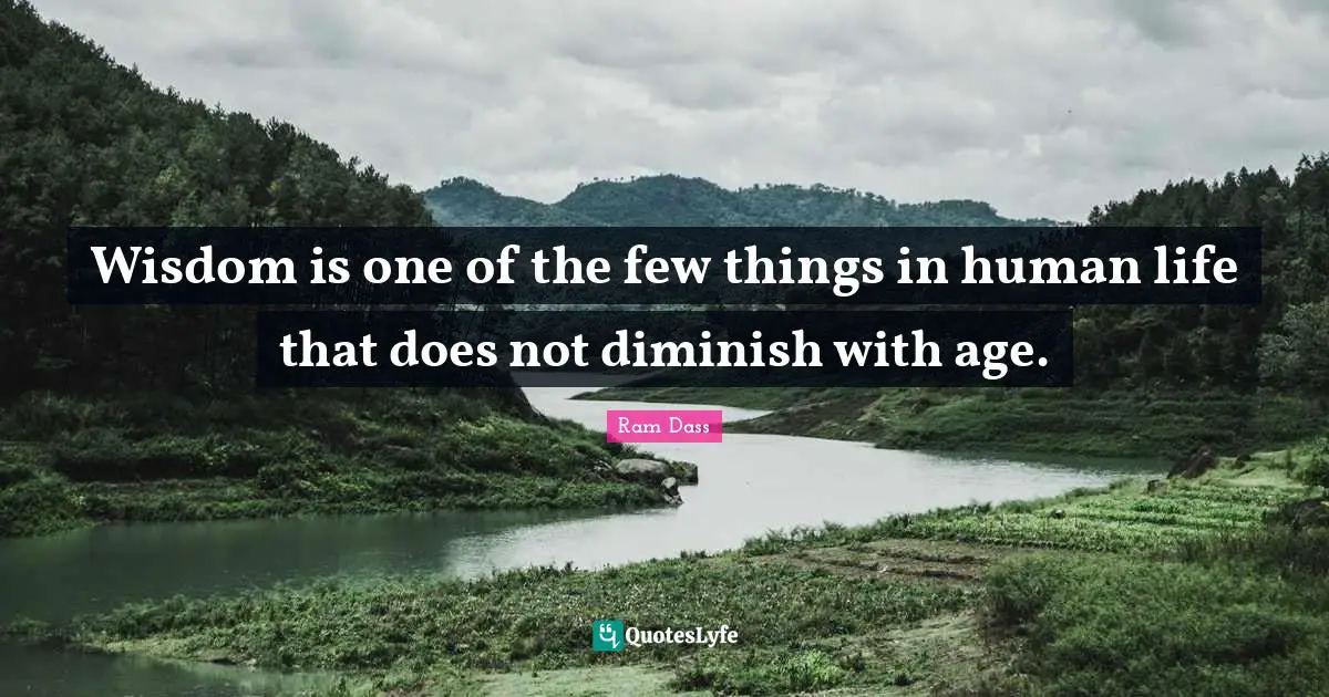 Diminish Quotes: "Wisdom is one of the few things in human life that does not diminish with age."