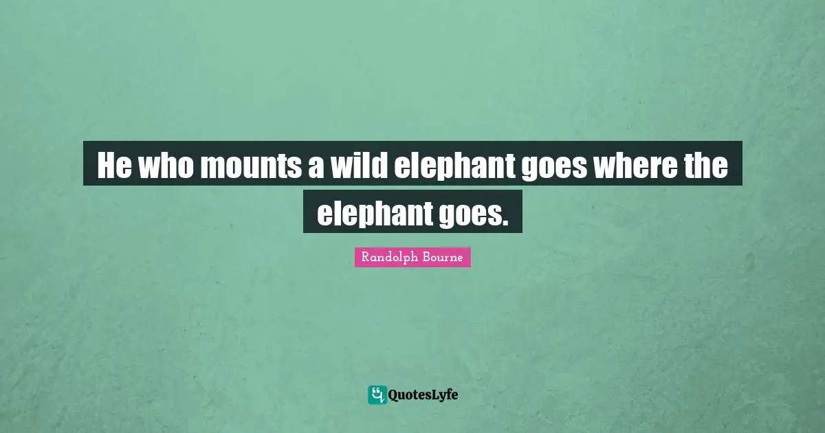 He who mounts a wild elephant goes where the elephant goes.