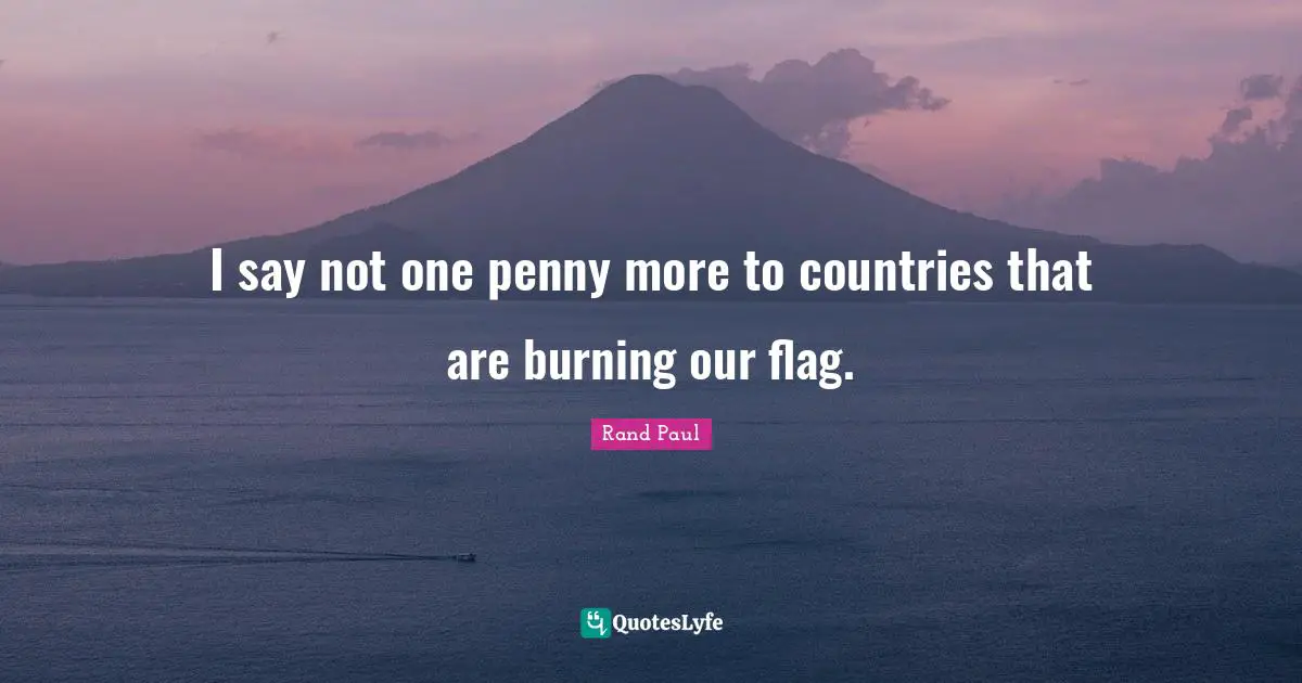 I say not one penny more to countries that are burning our flag.