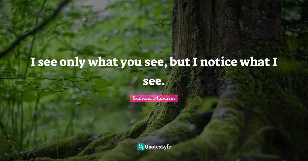 I see only what you see, but I notice what I see.