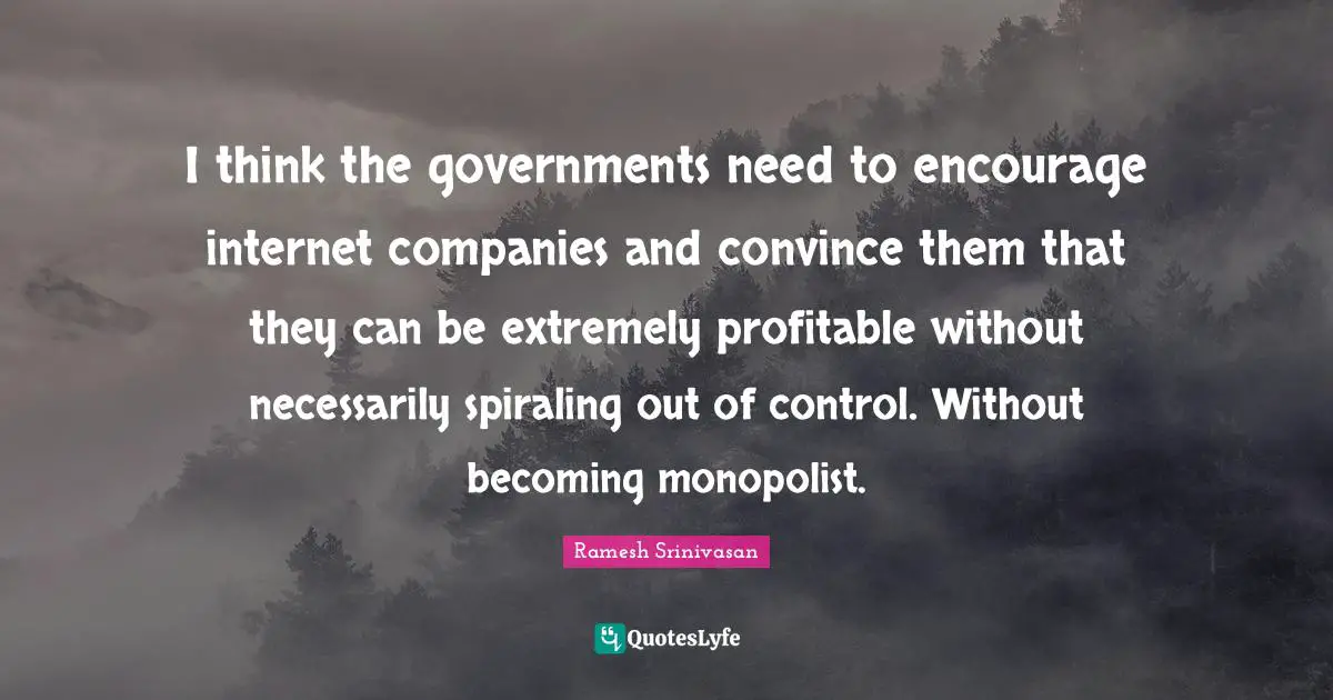 I think the governments need to encourage internet companies and convince them that they can be extremely profitable without necessarily spiraling out of control. Without becoming monopolist.