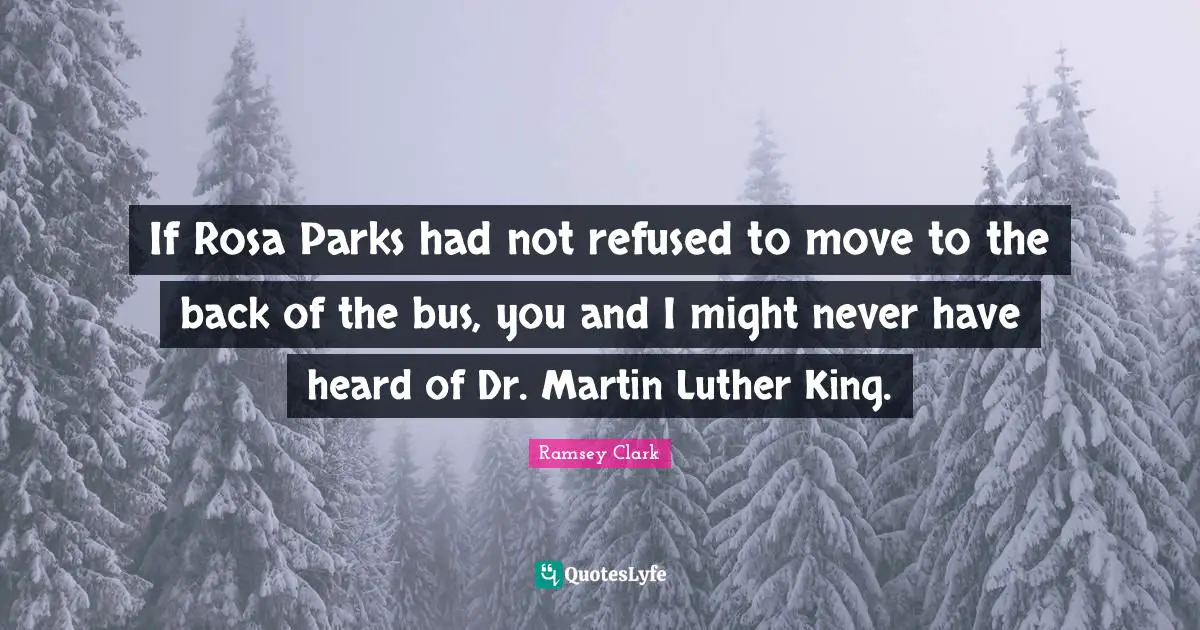 If Rosa Parks had not refused to move to the back of the bus, you and I might never have heard of Dr. Martin Luther King.