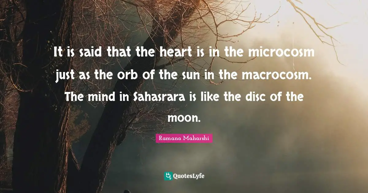It is said that the heart is in the microcosm just as the orb of the sun in the macrocosm. The mind in Sahasrara is like the disc of the moon.