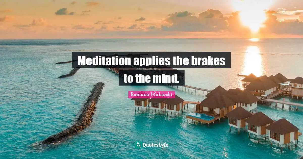 Meditation applies the brakes to the mind.
