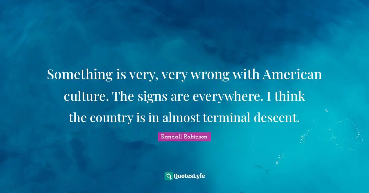 Something is very, very wrong with American culture. The signs are everywhere. I think the country is in almost terminal descent.