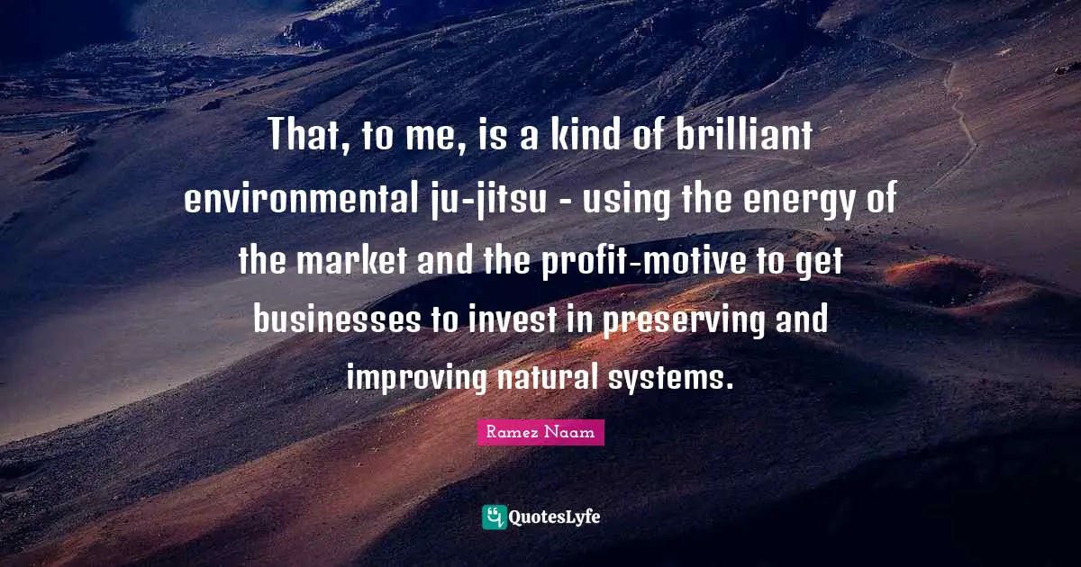 That, to me, is a kind of brilliant environmental ju-jitsu - using the energy of the market and the profit-motive to get businesses to invest in preserving and improving natural systems.