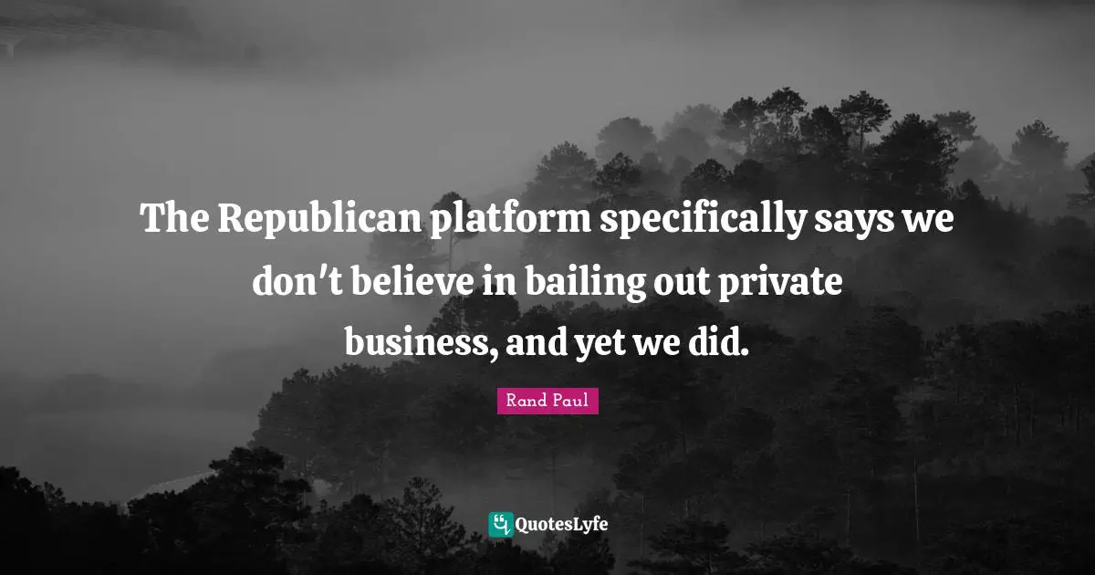 The Republican platform specifically says we don't believe in bailing out private business, and yet we did.
