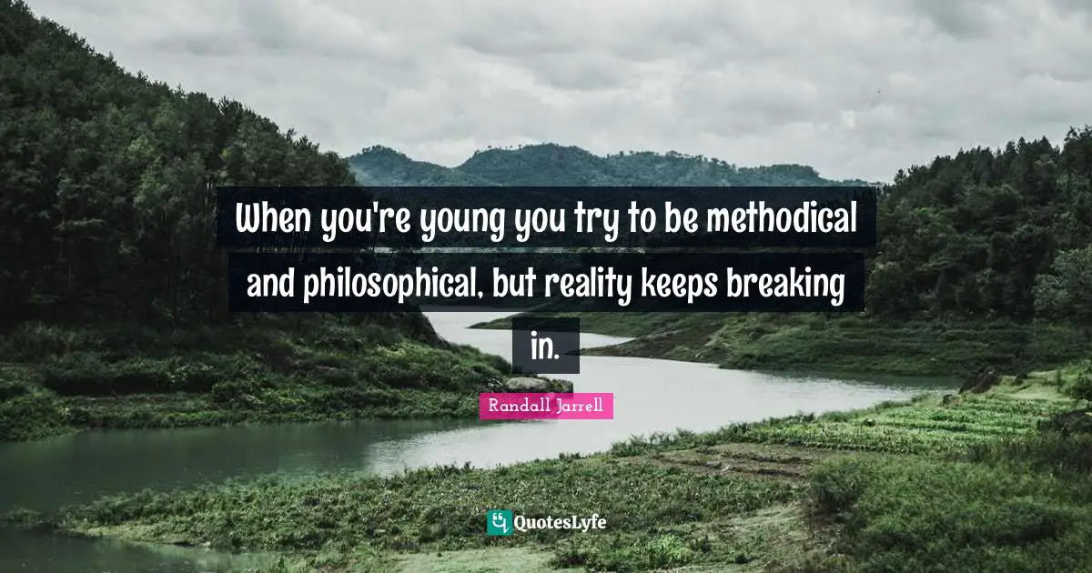 Methodical Quotes: "When you're young you try to be methodical and philosophical, but reality keeps breaking in."