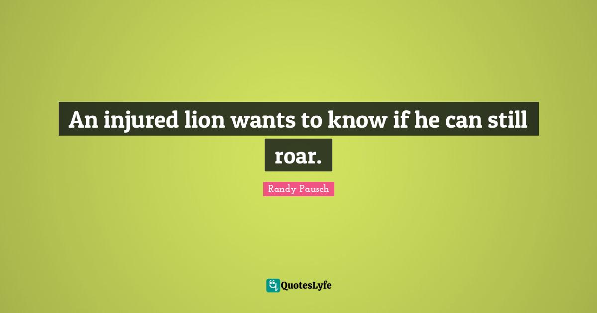 An injured lion wants to know if he can still roar.