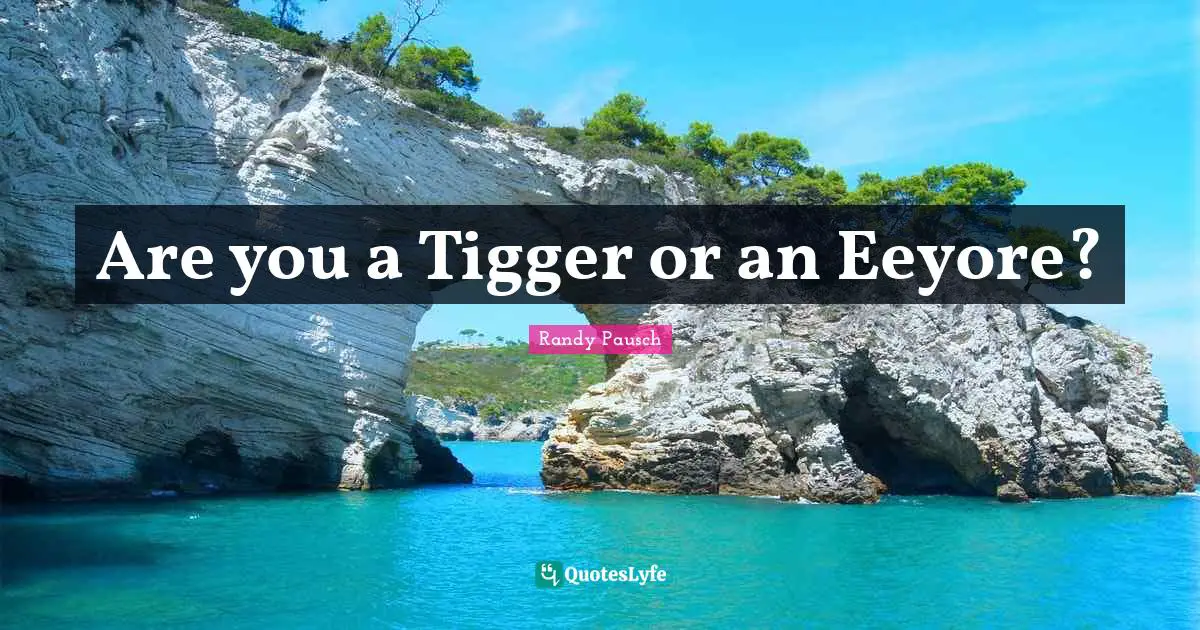 Are you a Tigger or an Eeyore?