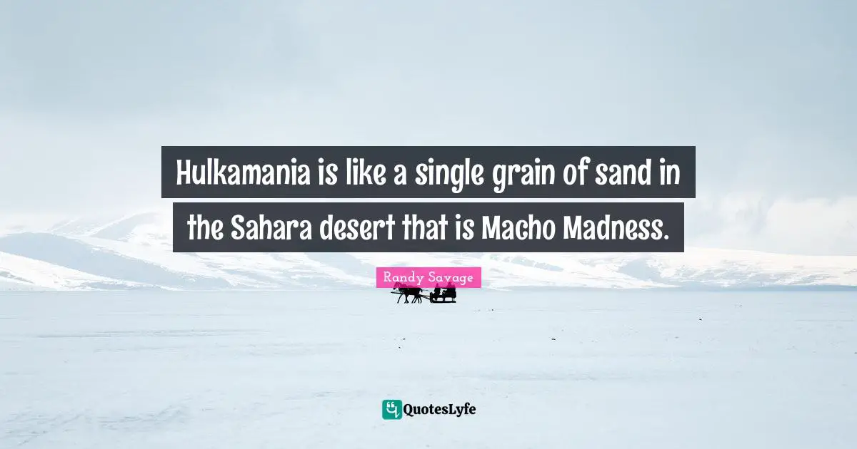 Hulkamania is like a single grain of sand in the Sahara desert that is Macho Madness.