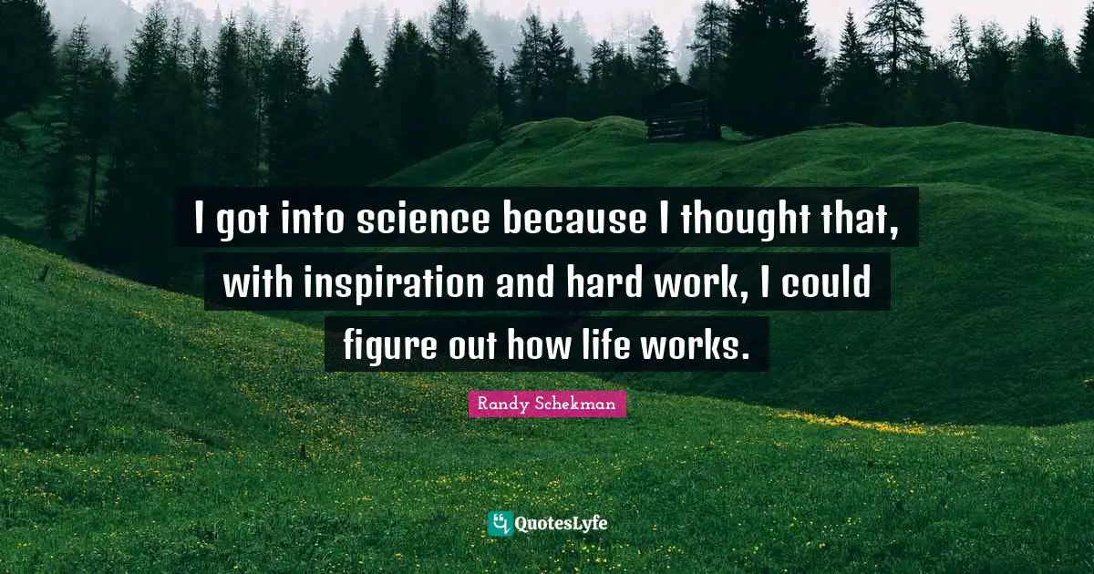 I got into science because I thought that, with inspiration and hard work, I could figure out how life works.