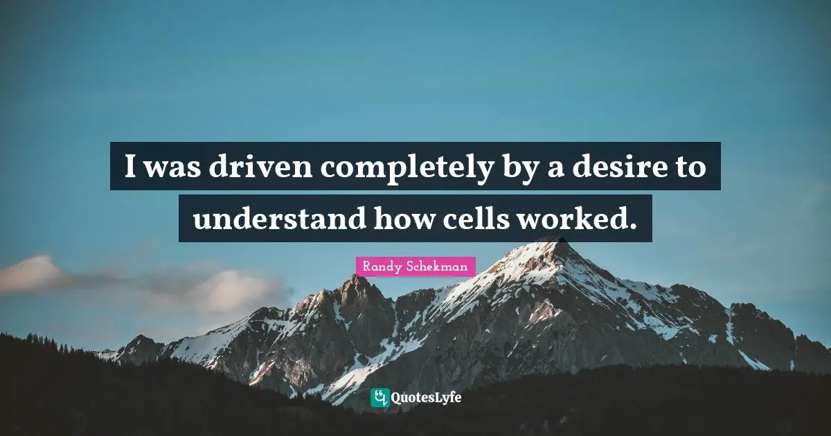 I was driven completely by a desire to understand how cells worked.