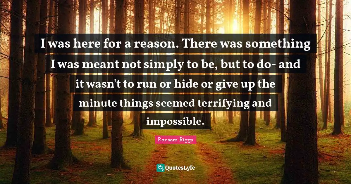 I was here for a reason. There was something I was meant not simply to be, but to do- and it wasn't to run or hide or give up the minute things seemed terrifying and impossible.