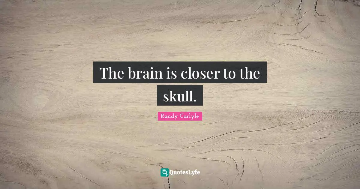 The brain is closer to the skull.