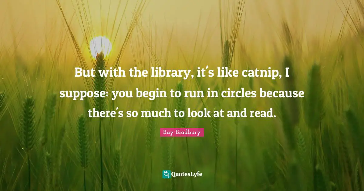 But with the library, it's like catnip, I suppose: you begin to run in circles because there's so much to look at and read.