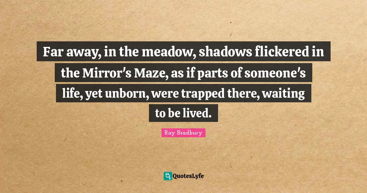 Far away, in the meadow, shadows flickered in the Mirror's Maze, as if parts of someone's life, yet unborn, were trapped there, waiting to be lived.