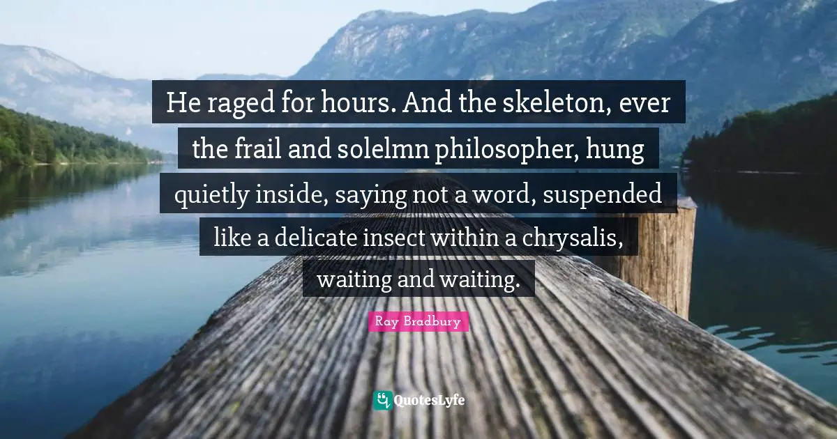 Skeletons Quotes: "He raged for hours. And the skeleton, ever the frail and solelmn philosopher, hung quietly inside, saying not a word, suspended like a delicate insect within a chrysalis, waiting and waiting."