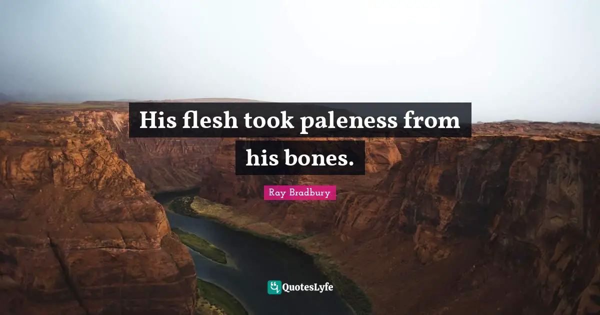 His flesh took paleness from his bones.