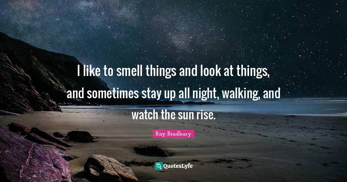 I like to smell things and look at things, and sometimes stay up all night, walking, and watch the sun rise.