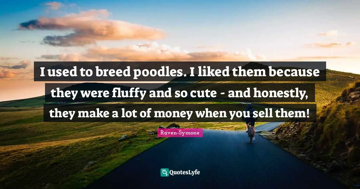 I used to breed poodles. I liked them because they were fluffy and so cute - and honestly, they make a lot of money when you sell them!