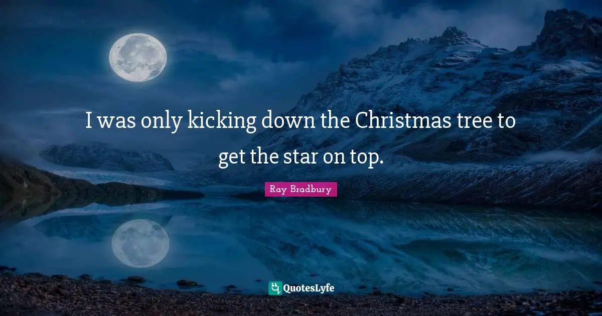 I was only kicking down the Christmas tree to get the star on top.
