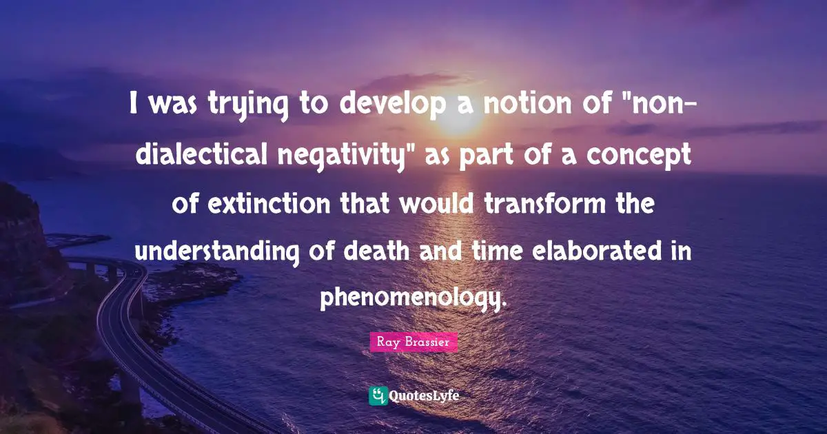 I was trying to develop a notion of "non-dialectical negativity" as part of a concept of extinction that would transform the understanding of death and time elaborated in phenomenology.