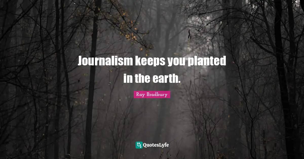 Journalism keeps you planted in the earth.
