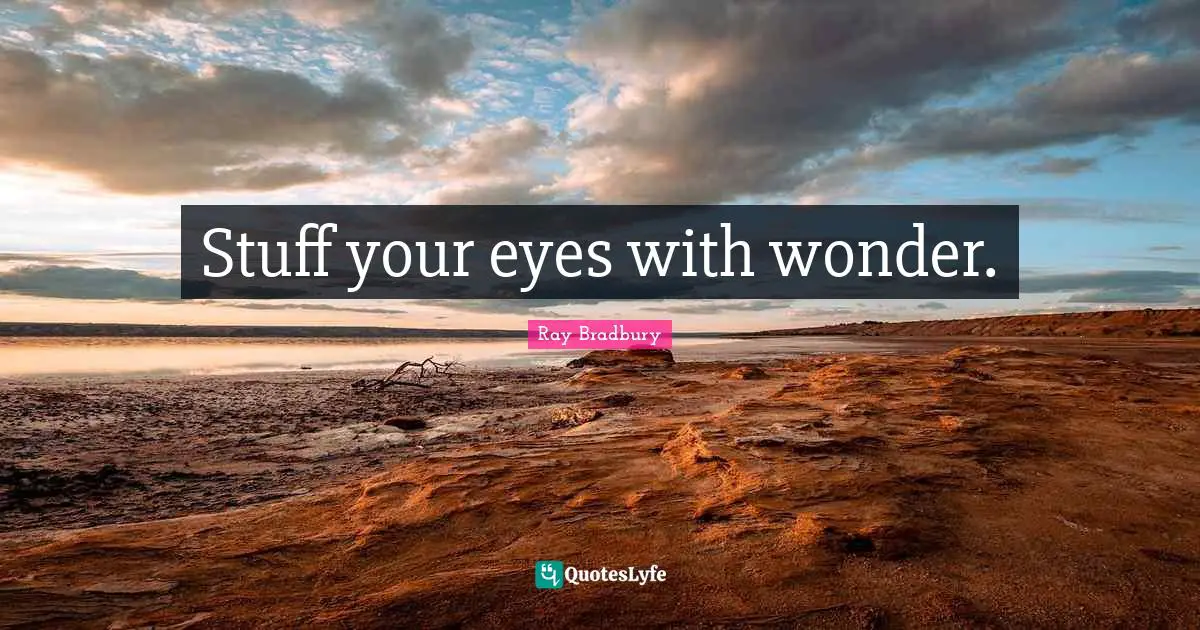 Stuff your eyes with wonder.